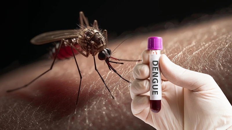 Salud reporta 2,136 casos de dengue y busca reducirlos 50% para 2030