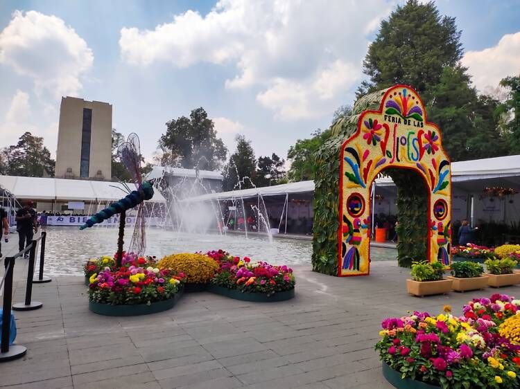 Qué hacer en CDMX este fin de semana: 5 planes imperdibles