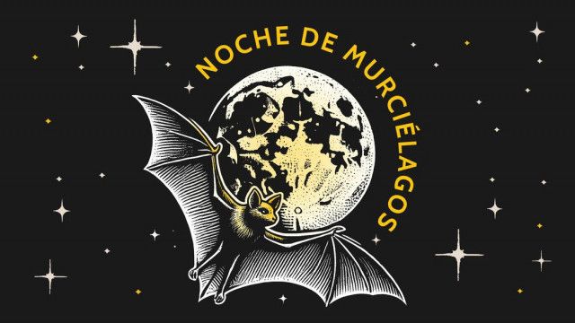 Regresa la Noche de Murciélagos: fecha, sede y cómo participar
