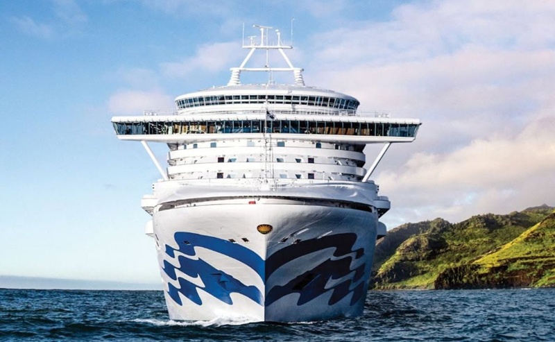Brote de norovirus en crucero afecta a más de cien pasajeros
