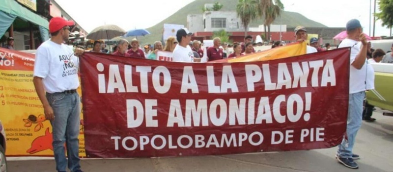 Planta de amoniaco en Topolobampo sigue en pie pese a protestas
